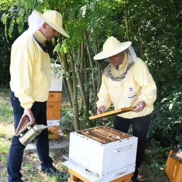 Piotrków Tryb.: rekordowy rok miejskiej pasieki