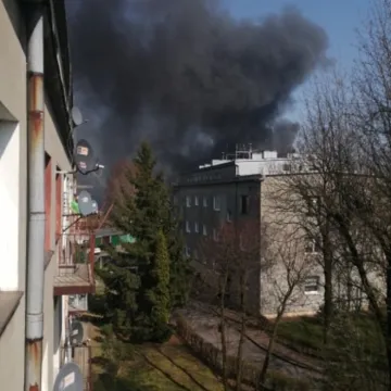 [WIDEO] Pali się „Fameg