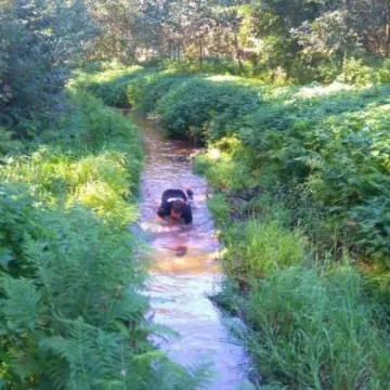 Bieg ekstremalny na Wymysłówku