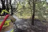 Strażacy gasili las i ściernisko w Białej Górze. Przyczyną ognia - podpalenie