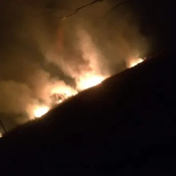 Spłonęło 10 ha traw