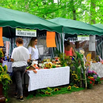 Pełen atrakcji IX Kobielski Piknik Rodzinny