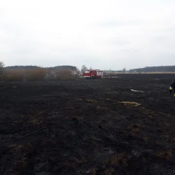 Spłonęły łąki i nieużytki rolne