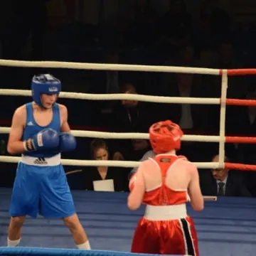 II Gala Boksu w Radomsku