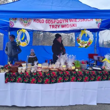 Zapachniało kolorową wiosną na parkingu przed Starostwem Powiatowym w Radomsku