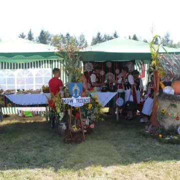 W podzięce Bogu za plony. Dożynki w Wielgomłynach