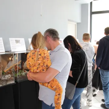 Pająki i skorpiony w MDK w Radomsku