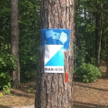 VII edycja Biegu na Orientację „Stop Przemocy”