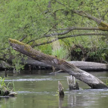 Era Travel na weekend: wyprawa do krainy bobra