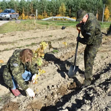 Wspólnie sadzili las
