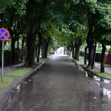 Piotrków Tryb. ruszyły prace przy ul. Staszica. Droga została zamknięta