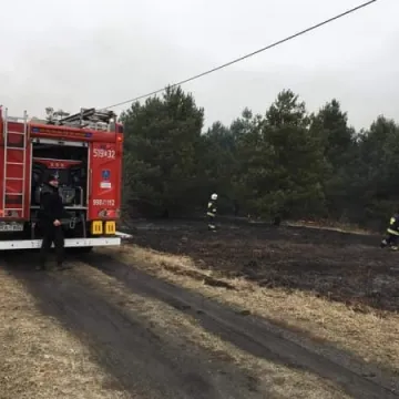 Pożar poszycia leśnego