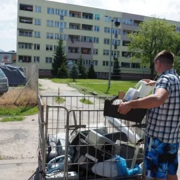 Przynieśli elektrośmieci – dostali sadzonki