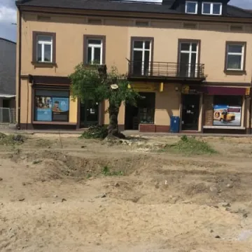 Kolejne drzewa na Reymonta wycięte