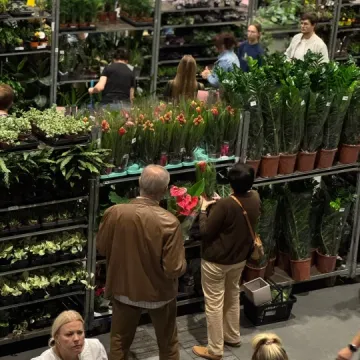 Jesienna edycja Festiwalu Roślin w Radomsku