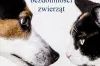 Powiat Radomszczański wspiera walkę z bezdomnością zwierząt. 70 tysięcy na zabiegi