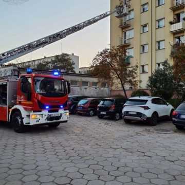 Strażacy ratują kota z tarapatów w bloku przy Piastowskiej w Radomsku