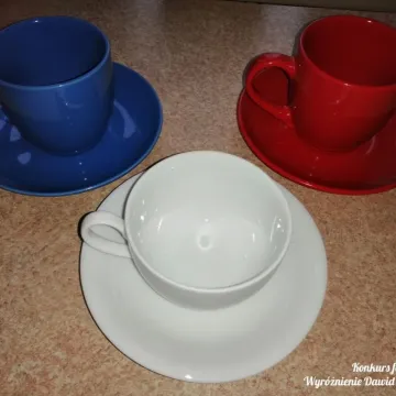 Frankofonia 2021 w „Ekonomiku” w Radomsku