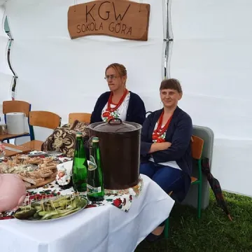 Piknik rodzinny województwa łódzkiego w Wielgomłynach