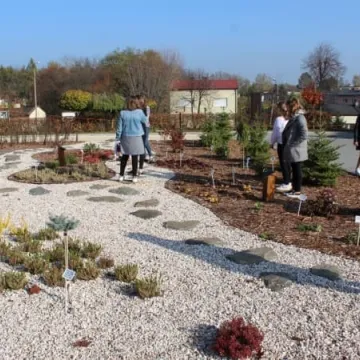Ekopracownia pod chmurką w PSP nr 9 w Radomsku już działa