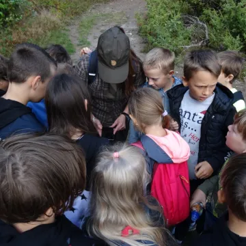 „Droga śmiecia” w Reymontówce na Bugaju