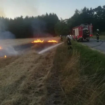 Pożar ścierniska w Wólce Pytowskiej