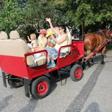 Piknik z Radomszczańską Kapelą Podwórkową