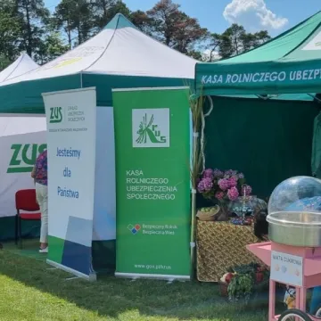 Słodka zabawa z miodem w Gomunicach