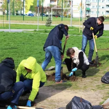Samorządowcy z Platformy Dialogu sadzili drzewa