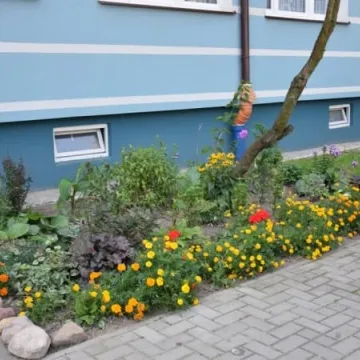 Konkursowe ogrody radomszczan