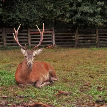 Trybunalskie Rozmowy Regionalne rozstrzygnięte!