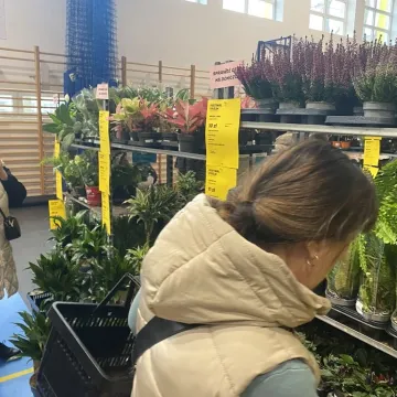 Rośliny opanowały Radomsko. Festiwal Roślin odbył się po raz pierwszy