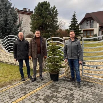 Drugie życie choinek