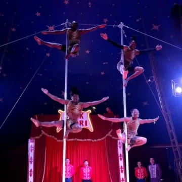 Zgarnij wejściówkę do Cyrku Safari