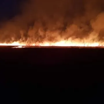 Spłonęło 15 hektarów traw