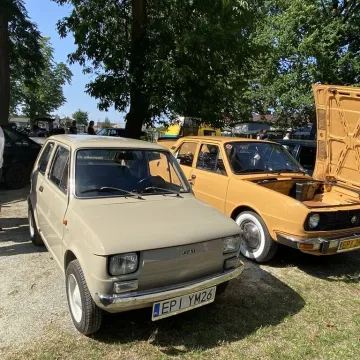 Święto Bob[r]u pełne energii. Gorzędów pokazał, jak się bawi