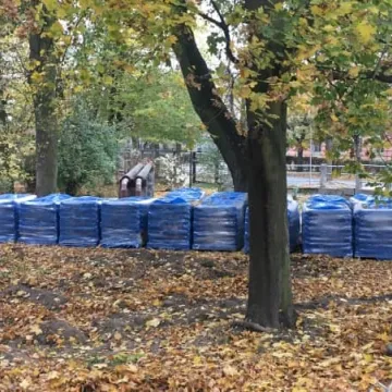 Trwa rewaloryzacja parku Świętojańskiego