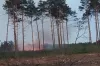 Podpalacz w Suchej Wsi? Znów płonął las