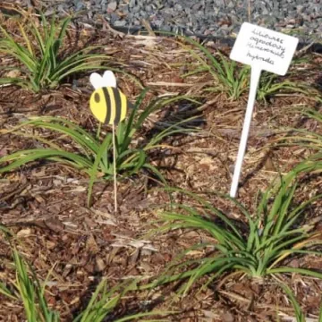 Ekopracownia pod chmurką w PSP nr 9 w Radomsku już działa