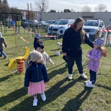 Zajączek ukrył się w PP nr 5 w Radomsku. Dzieci ruszyły na poszukiwania