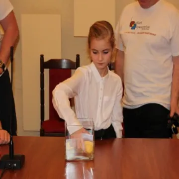 Budżet Obywatelski: wylosowano pozycje na listach do głosowania