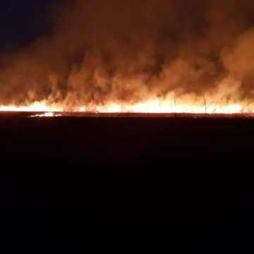 Spłonęło 15 hektarów traw