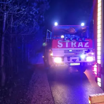 Nad ranem palił się budynek gospodarczy w Szczepocicach Rządowych