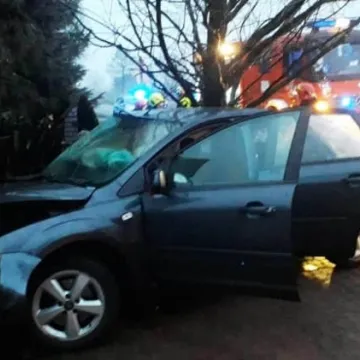 Wypadek w m. Borowe. Ford uderzył w posesję