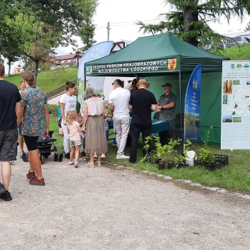 Wielkie Łowy Króla Kazimierza w Przedborzu