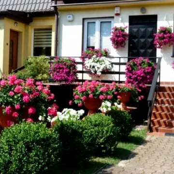 Radomsko w kwiatach i zieleni 