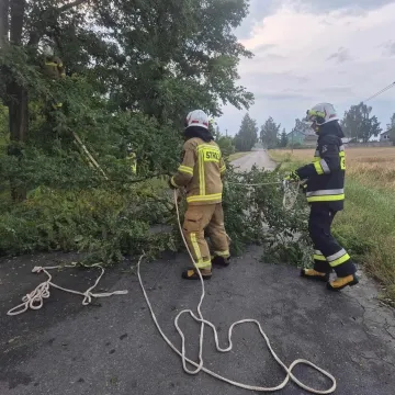 [WIDEO] Potężna nawałnica nad Radomskiem. Strażacy już w akcji