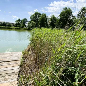 Dwa stawy w Strzałkowie przejdą renowację. Będzie estetycznie i funkcjonalnie