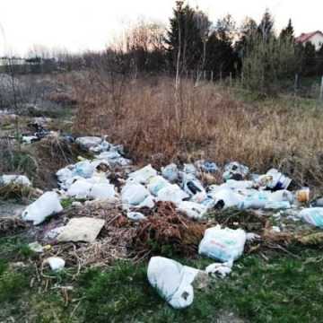 Śmieci straszą przy drodze na Suchą Wieś. Kto je posprząta?