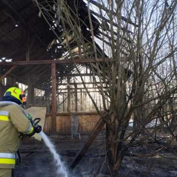 Pożar w Szczepocicach Rządowych. Ponowne zagrożenie w pustostanie